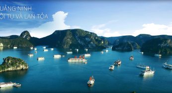 Chuyển phát nhanh Hồ Chí Minh đi Quảng Ninh nhanh chóng, uy tín