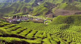Dịch vụ chuyển phát nhanh Lâm Đồng đi Malaysia giá rẻ, an toàn.